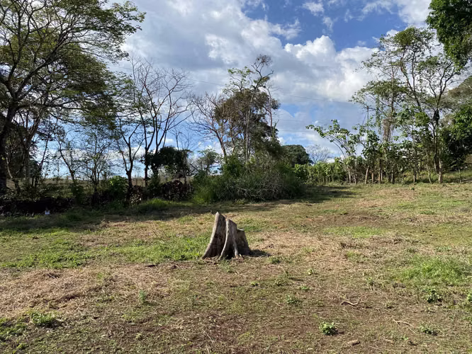 Finca en venta San Mateo - Imagen 3
