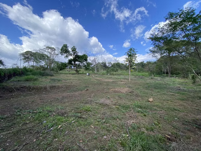 Finca en venta San Mateo - Imagen 15