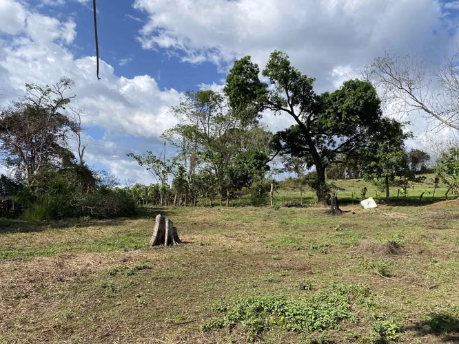 Finca en venta San Mateo - Imagen 13
