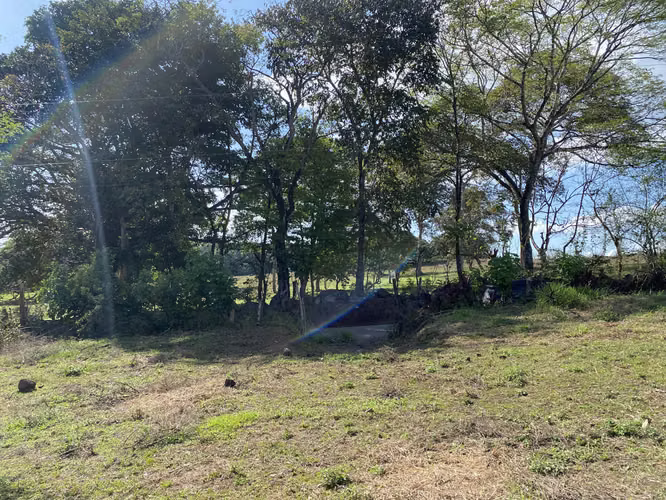 Finca en venta San Mateo - Imagen 11