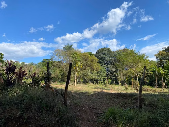 Finca en venta San Mateo - Imagen 4