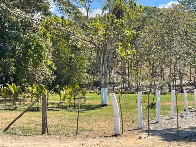 Venta de lote, con vista al mar, Los Sueños, Garabito 4413 - Imagen 12