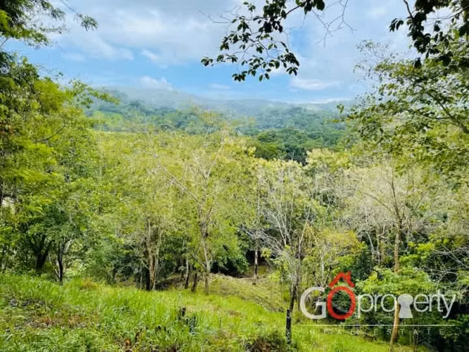 Venta de lote, con vista al mar, Los Sueños, Garabito 4413 - Imagen 6