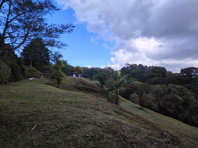 SE VENDE -   LOTE    EN CABUYAL  DE POAS - ALAJUELA - Imagen 8