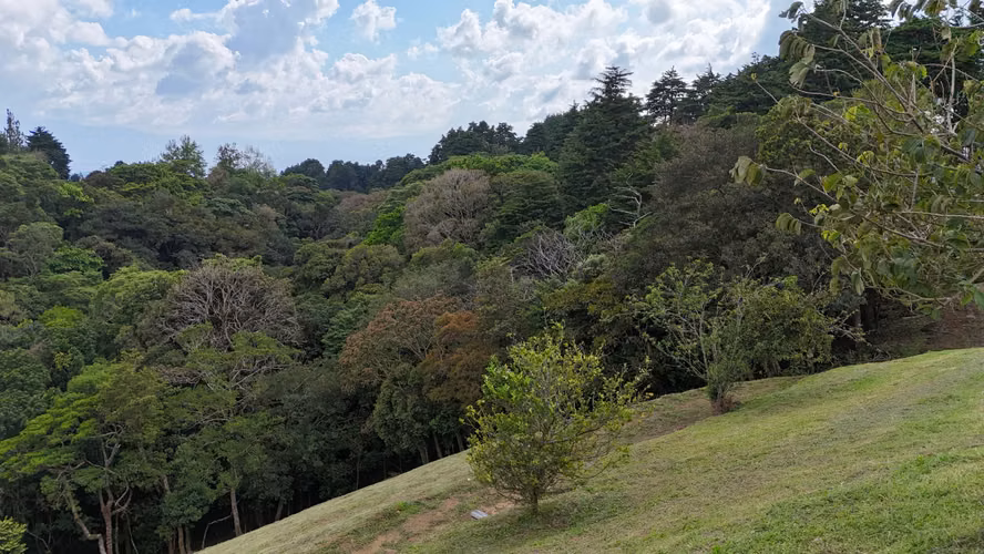 SE VENDE -   LOTE    EN CABUYAL  DE POAS - ALAJUELA - Imagen 2