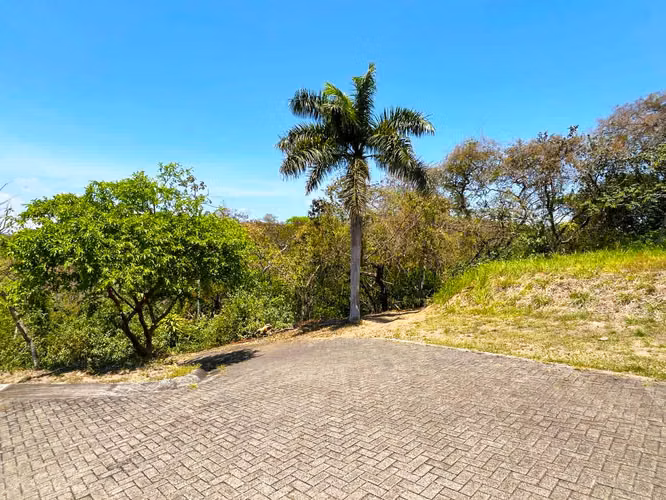 Se vende amplio Lote en La Guácima (MA). - Imagen 8