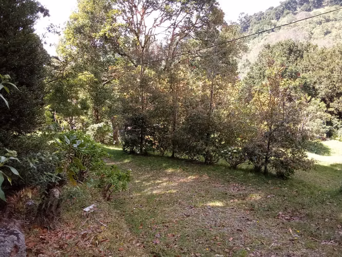 Venta de Cabaña en El Cañón de El Guarco | 3,419 m² con Potencial de Expansión