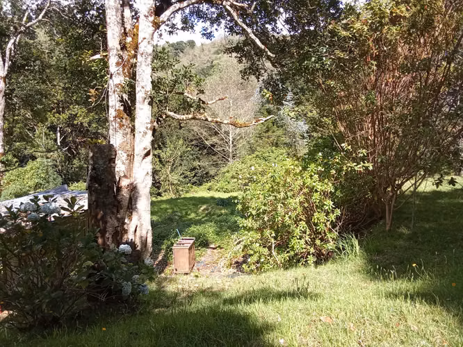 Venta de Cabaña en El Cañón de El Guarco | 3,419 m² con Potencial de Expansión