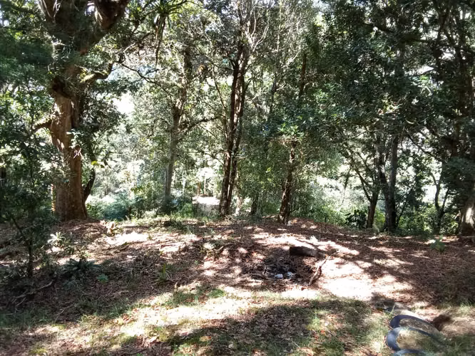 Venta de Cabaña en El Cañón de El Guarco | 3,419 m² con Potencial de Expansión