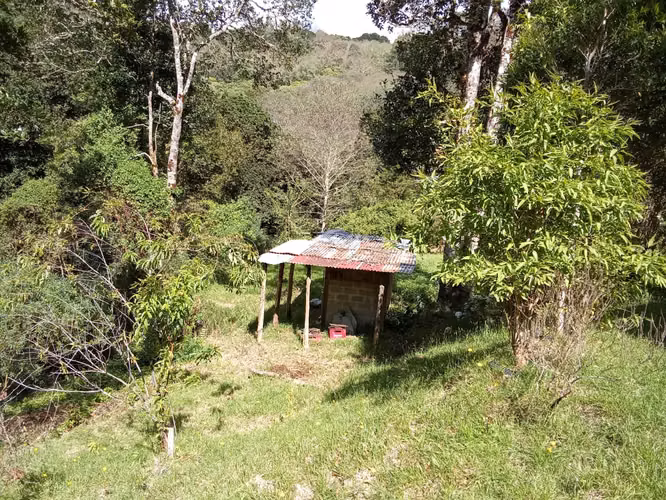 Venta de Cabaña en El Cañón de El Guarco | 3,419 m² con Potencial de Expansión