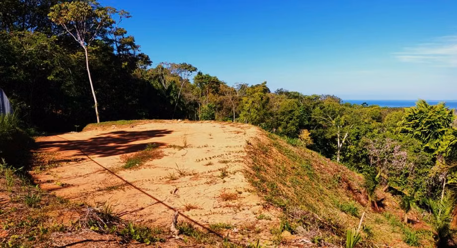 VENTA DE LOTES, PUNTARENAS, OSA, BAHIA BALLENA, DULCE PACIFICO