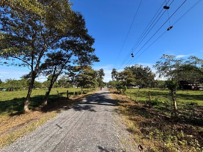 Terreno en la Marina de Pococi, Guapiles. Se escuchan ofertas!!! - Imagen 3