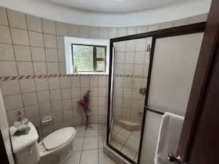 id 38744 Venta de casa con dos apartamentos, San Ramón de Tres Ríos