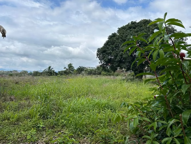 VENTA DE LOTE PARA QUINTA / GARITA / ALAJUELA - Imagen 4