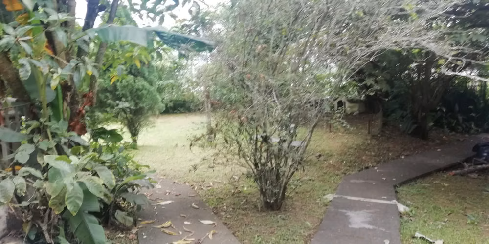 id #38110 VENTA DE PROPIEDAD AMPLIA USO DE SUELO MIXTO