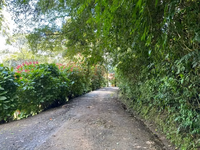 Venta de Lotes con Vista Inmejorable, Santa Ana. 4726 - Imagen 7