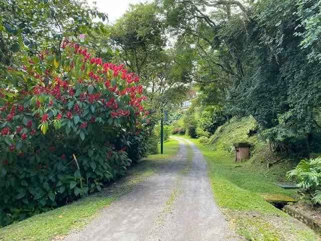Venta de Lotes con Vista Inmejorable, Santa Ana. 4726 - Imagen 4