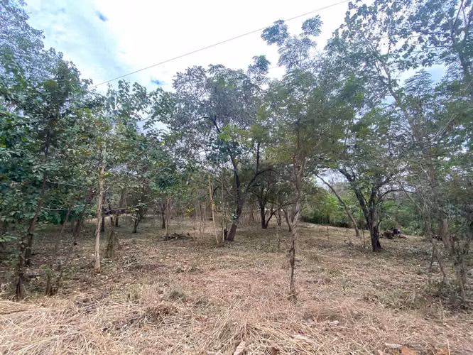 LOTE 5895 mtrs2 EN VENTA POR PLAYA GRANDE GUANACASTE