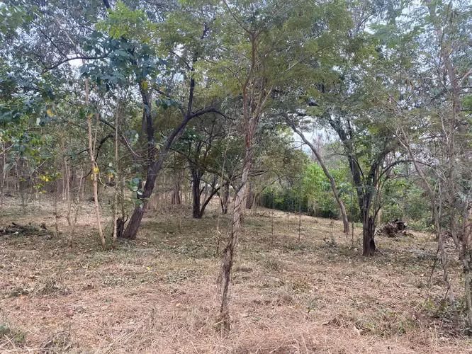 LOTE 5895 mtrs2 EN VENTA POR PLAYA GRANDE GUANACASTE