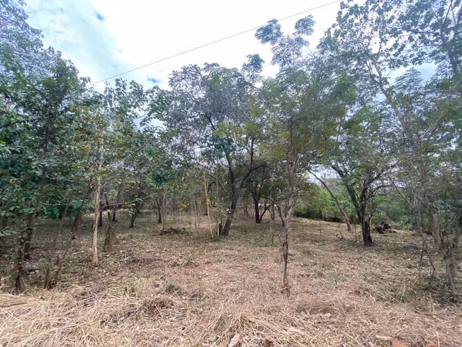 LOTE 5895 mtrs2 EN VENTA POR PLAYA GRANDE GUANACASTE