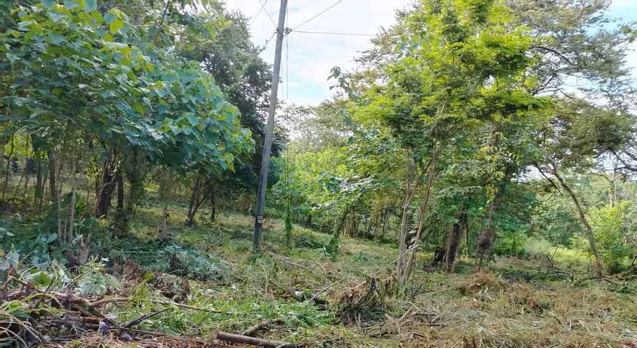 LOTE 5895 mtrs2 EN VENTA POR PLAYA GRANDE GUANACASTE