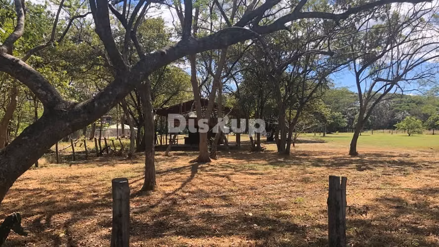Venta de Lote en Sardinal, Guanacaste. Frente Mercado Mayorista - Imagen 9