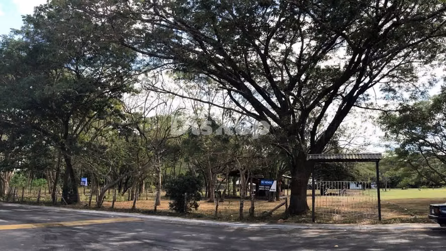 Venta de Lote en Sardinal, Guanacaste. Frente Mercado Mayorista - Imagen 6