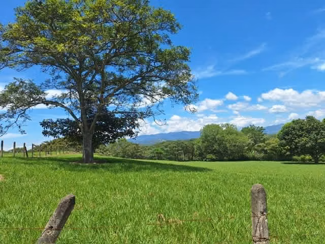 Venta de Terreno Residencial, Turrucares, Alajuela. 5282 - Imagen 5