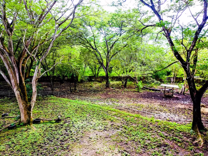 Prime 11,832 m² Lot Near Playa Conchal, Guanacaste, Costa Rica. - Imagen 20