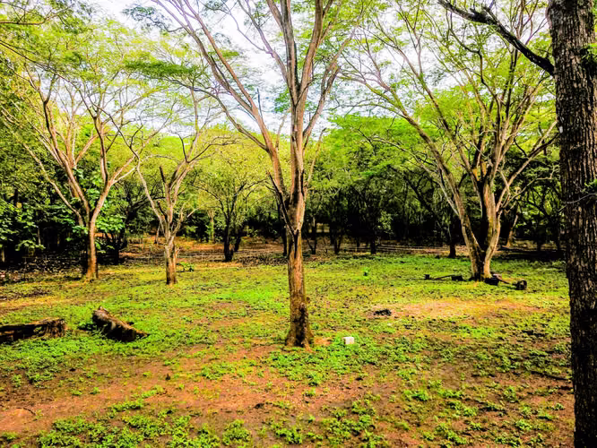 Prime 11,832 m² Lot Near Playa Conchal, Guanacaste, Costa Rica. - Imagen 11