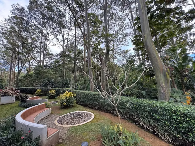 Se alquila precioso Apartamento en Nueve 84, Curridabat (MA). - Imagen 11