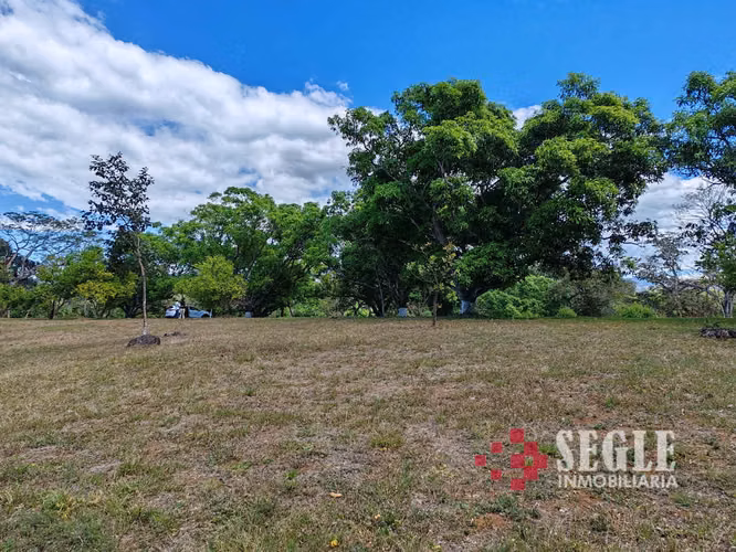 Venta de Quinta en Orotina. - Imagen 4