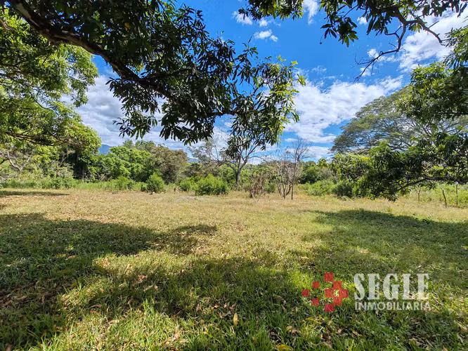 Venta de Quinta en Orotina. - Imagen 6