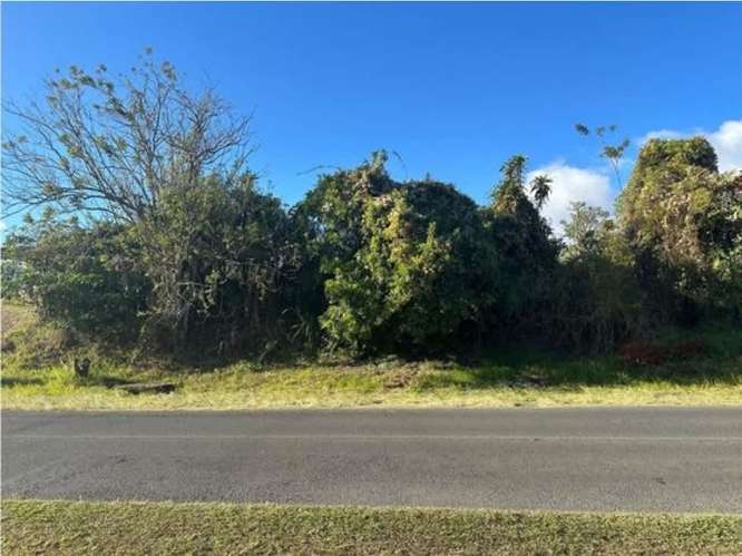 VENTA DE TERRENO, SANTO TOMAS, SANTO DOMINGO DE HEREDIA, 4.250 M2 - Imagen 9