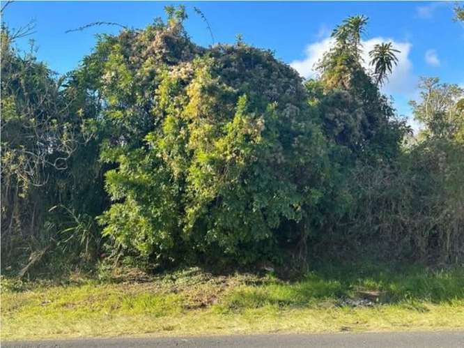 VENTA DE TERRENO, SANTO TOMAS, SANTO DOMINGO DE HEREDIA, 4.250 M2 - Imagen 5