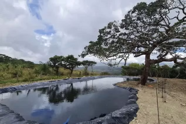Paraíso Sostenible , 75 Acres con Potencial de Inversión, Guanacaste. - Imagen 9