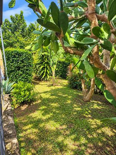 CASA EN VENTA CON PISCINA PRIVADA Y AMPLIO TERRENO EN ATENAS - Imagen 19