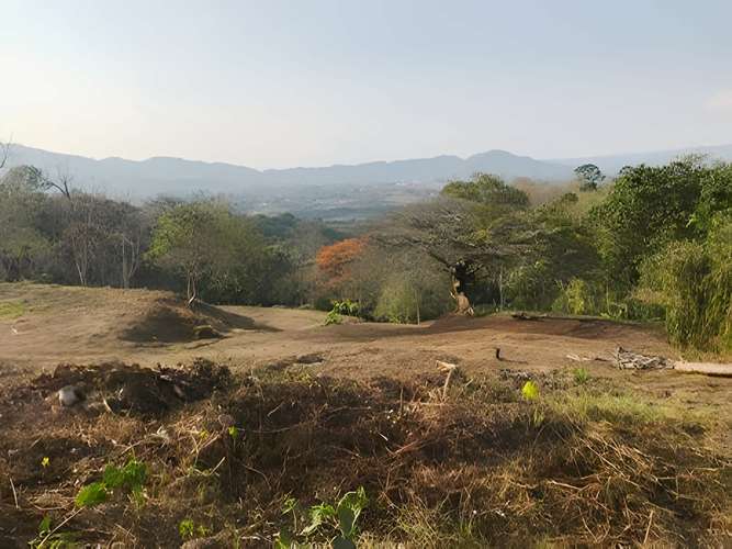 Terreno para la venta en Palmares Alajuela. - Imagen 4