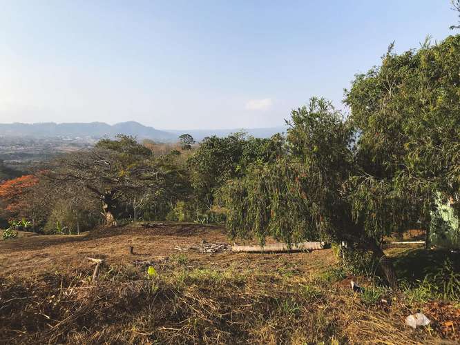 Terreno para la venta en Palmares Alajuela. - Imagen 6