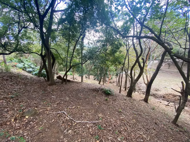 Rebajado!! Venta de Lote en Reserva Natural, Santa Ana. 5694 - Imagen 5