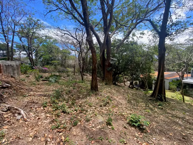 Rebajado!! Venta de Lote en Reserva Natural, Santa Ana. 5694 - Imagen 12