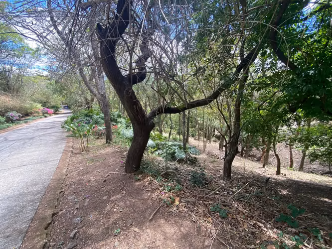 Rebajado!! Venta de Lote en Reserva Natural, Santa Ana. 5694 - Imagen 6