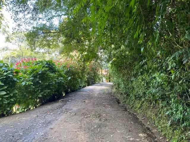 Rebajado!! Venta de Lote en Reserva Natural, Santa Ana. 5694 - Imagen 4