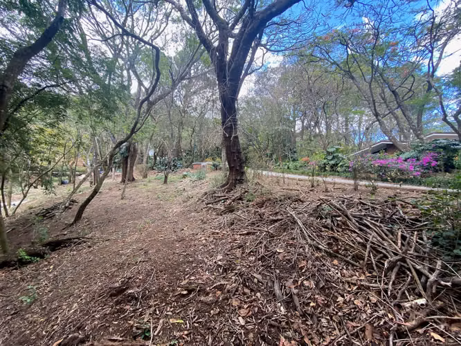 Rebajado!! Venta de Lote en Reserva Natural, Santa Ana. 5694 - Imagen 9