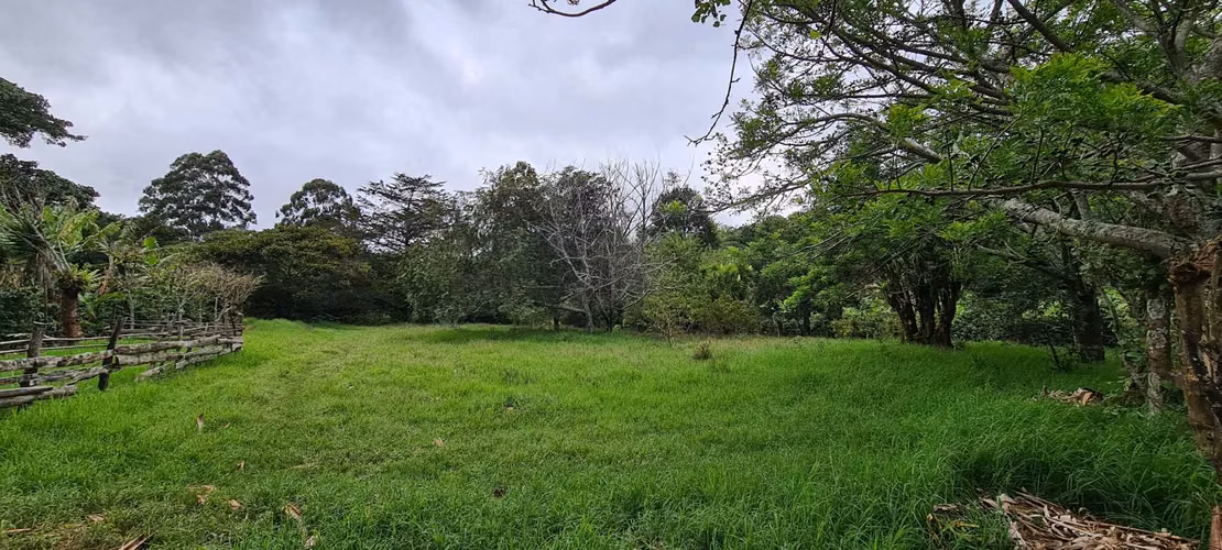 Venta 2 ha + 4,512 m2 terreno plano c/río al fondo Santa María de Dota centro