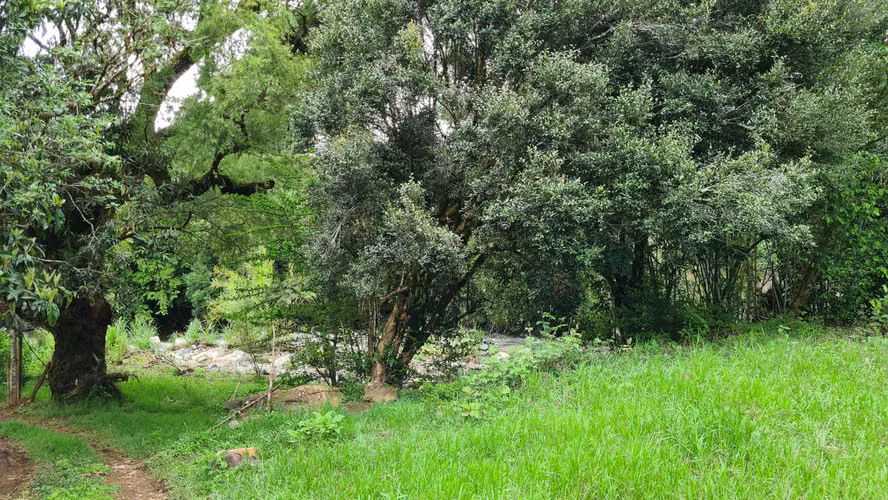 Venta 2 ha + 4,512 m2 terreno plano c/río al fondo Santa María de Dota centro
