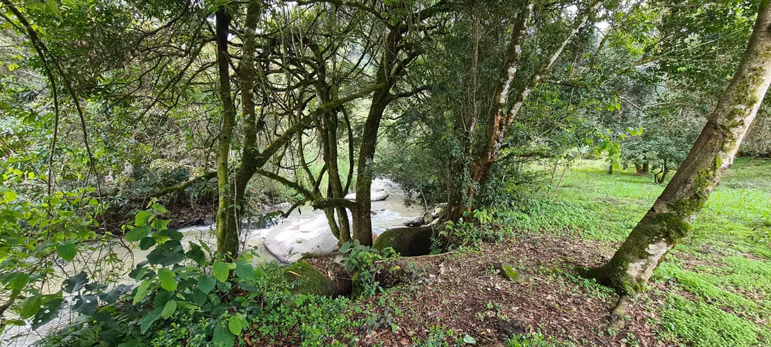 Venta 2 ha + 4,512 m2 terreno plano c/río al fondo Santa María de Dota centro