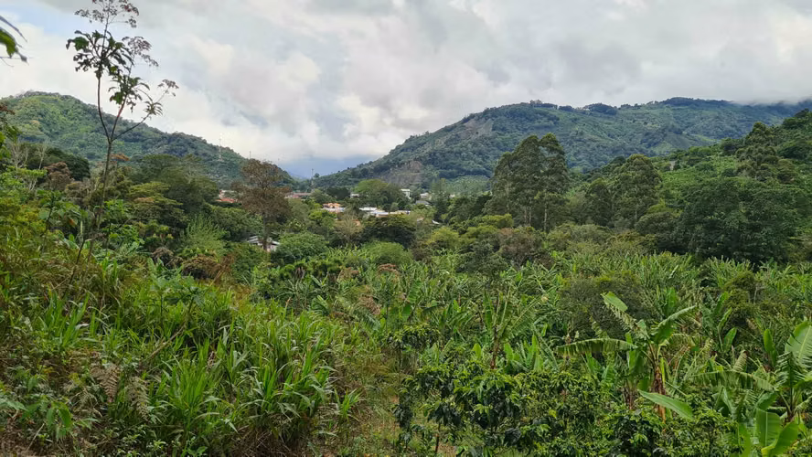 Venta 2 ha + 4,512 m2 terreno plano c/río al fondo Santa María de Dota centro