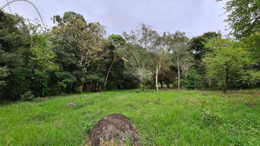 Venta 2 ha + 4,512 m2 terreno plano c/río al fondo Santa María de Dota centro