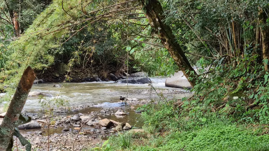 Venta 2 ha + 4,512 m2 terreno plano c/río al fondo Santa María de Dota centro